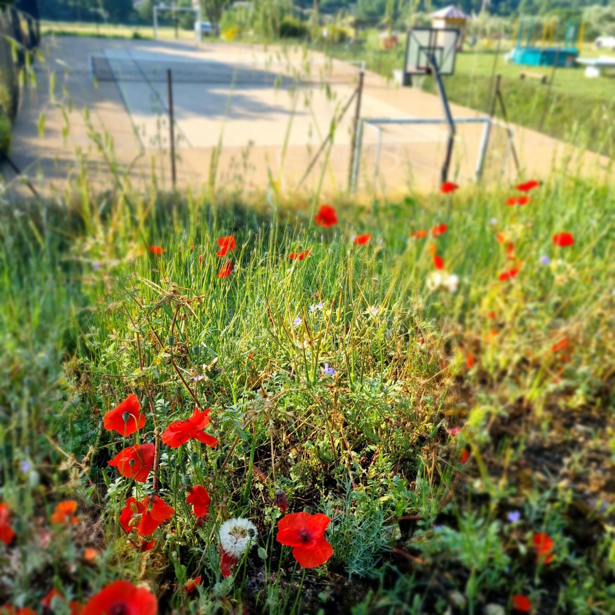 L'Oustaou Du Luberon Et Spa Villelaure Esterno foto