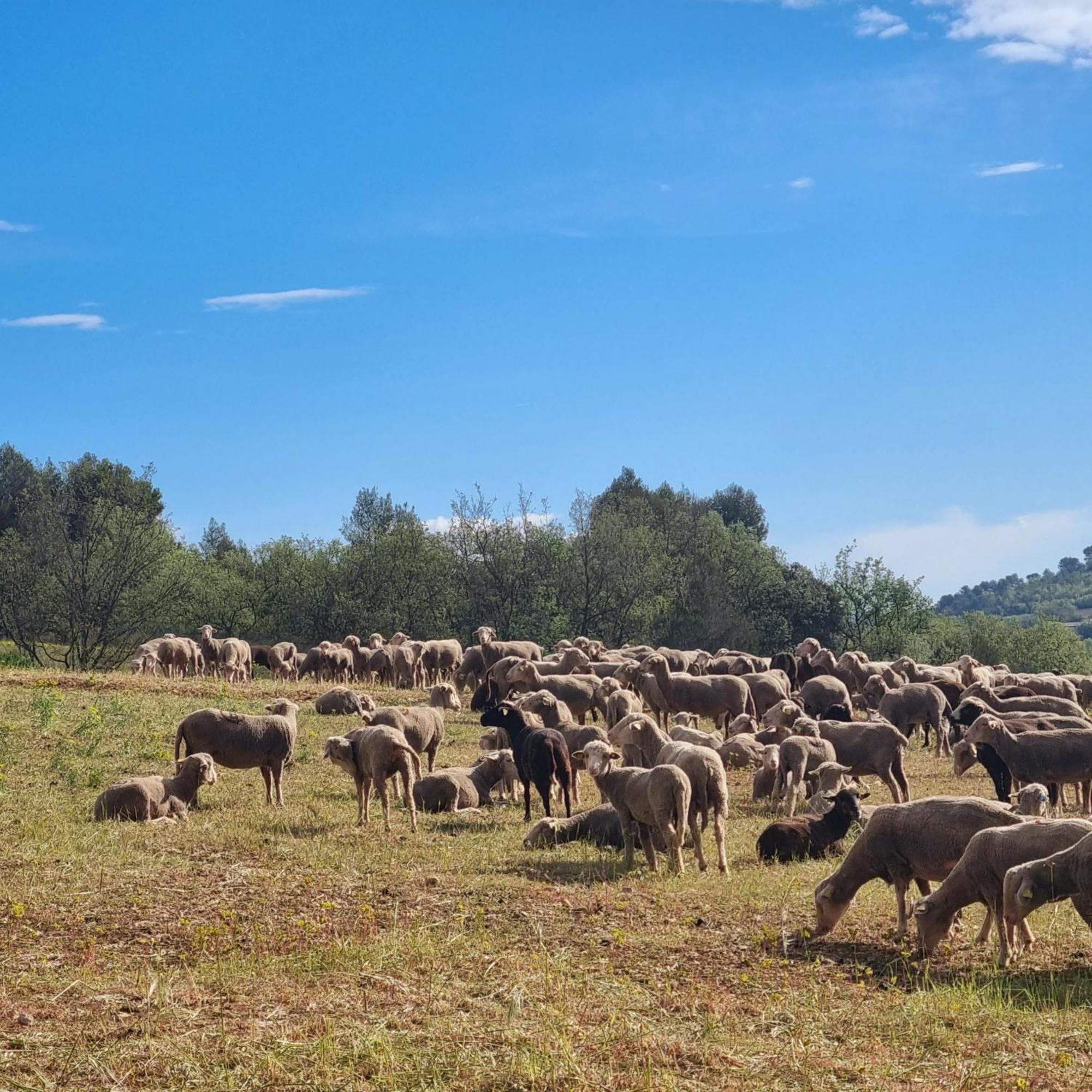 L'Oustaou Du Luberon Et Spa Villelaure Esterno foto