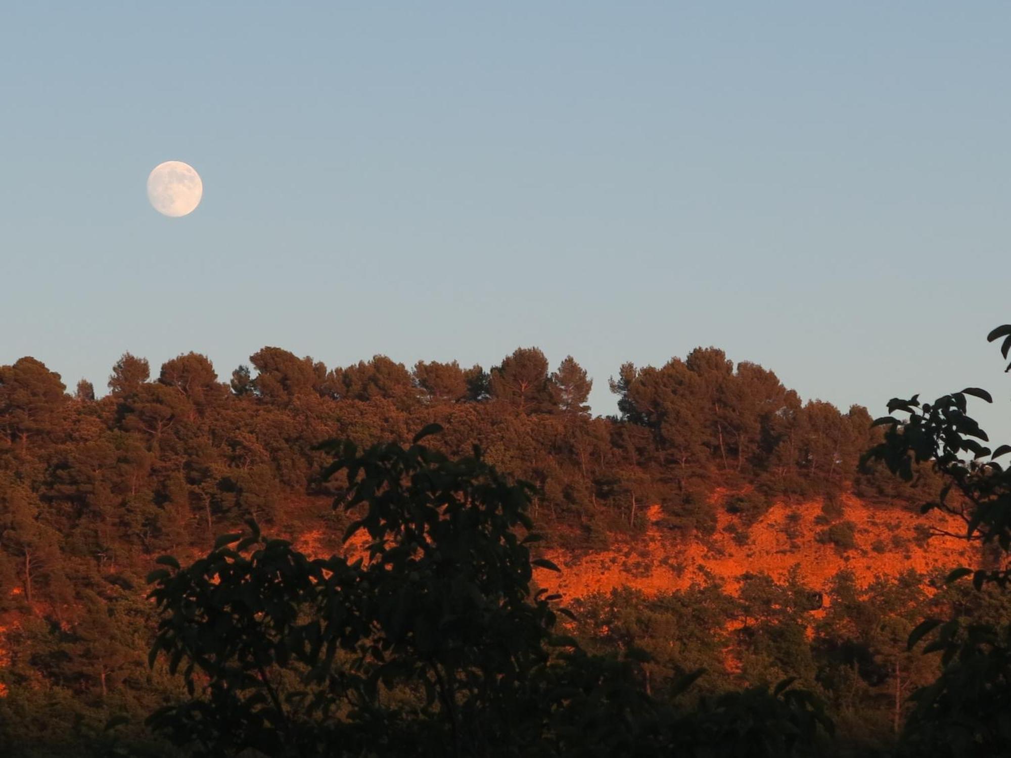 L'Oustaou Du Luberon Et Spa Villelaure Esterno foto