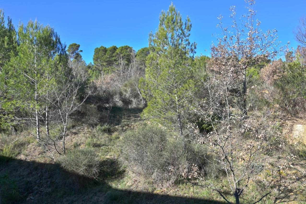 L'Oustaou Du Luberon Et Spa Villelaure Esterno foto